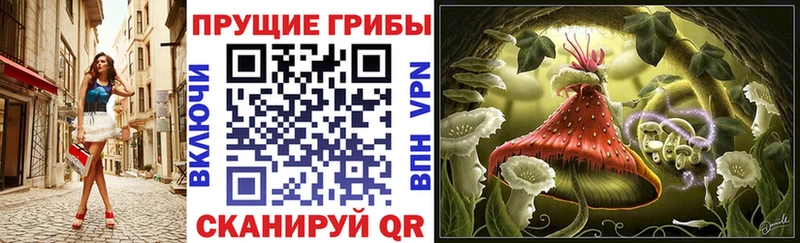 Псилоцибиновые грибы Cubensis  наркошоп  ОМГ ОМГ сайт  Бирюсинск 